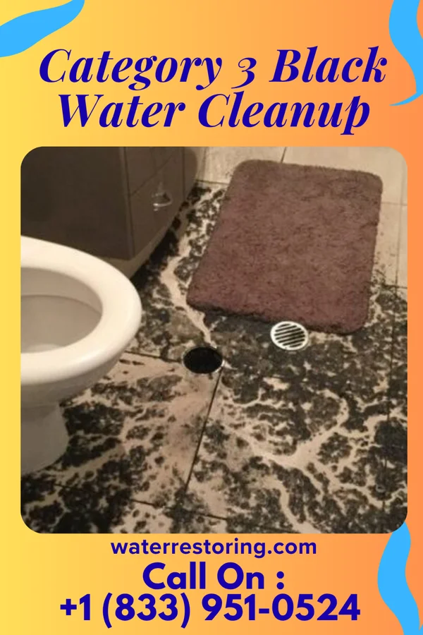 Category 3 Black Water Cleanup in Julian, NE