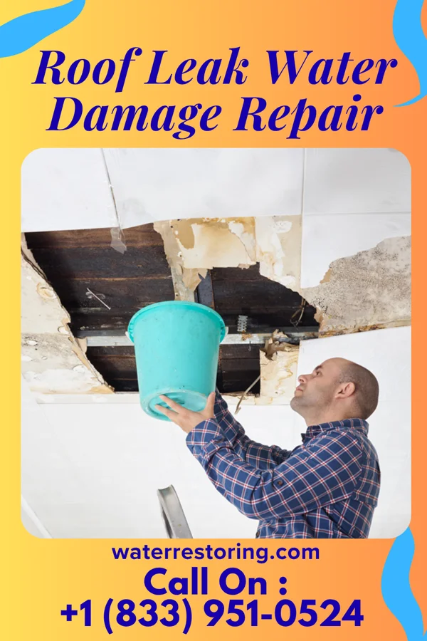 Roof Leak Water Damage Repair in Julian, NE